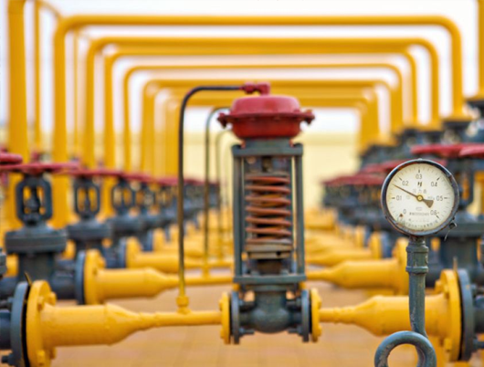 CNG Distribution Companies - Maruti Koatsu Cylinders